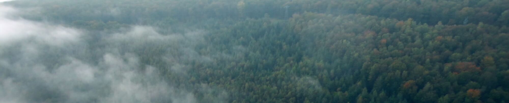 Vue aérienne d'une forêt française dans la brume, couleurs d'automne
